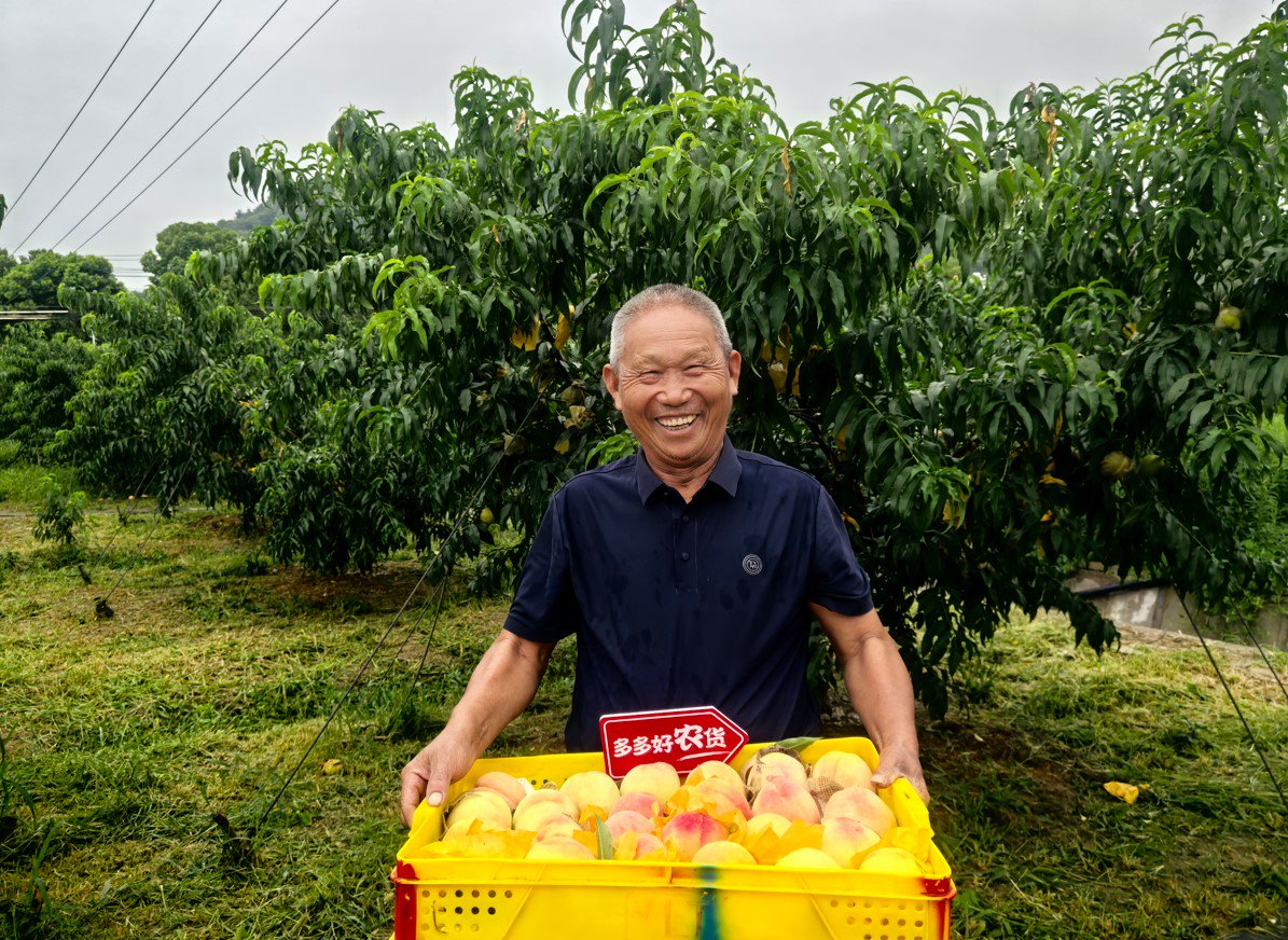 拼多多變“重”：再投百億建設(shè)平臺生態(tài)