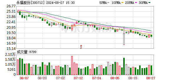 永福股份：2024年上半年凈利潤3031.24萬元 同比增長25.35%  第1張