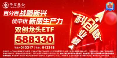 南都電源雙重突破，固態(tài)電池再火爆！雙創(chuàng)龍頭ETF（588330）單日漲近1%，機(jī)構(gòu)：降息交易建議關(guān)注科技成長  第4張