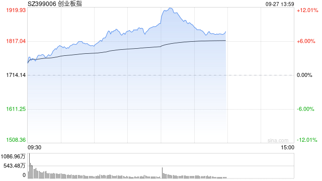 新記錄！創(chuàng)業(yè)板指漲超10%  第1張