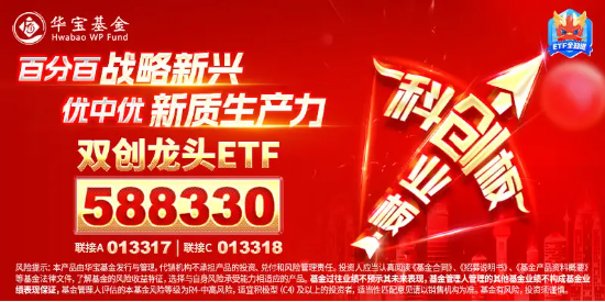 主力資金大舉加碼權(quán)重板塊，雙創(chuàng)龍頭ETF（588330）封死漲停板，標(biāo)的指數(shù)近9成成份股漲超10%！  第5張