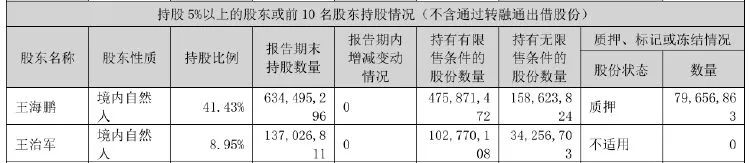 美盈森實(shí)控人同意償還逾10億元債務(wù)，所持全部股份仍凍結(jié)  第3張