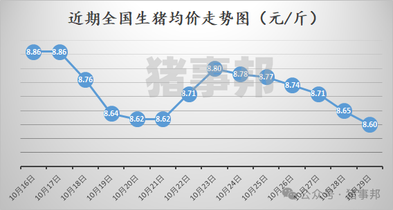 10月29日豬價(jià)匯總（均價(jià)連跌6天?。? 第3張