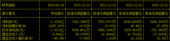 創(chuàng)業(yè)板IPO！成長(zhǎng)性欠佳，實(shí)控人既為大客戶又是第一大供應(yīng)商  第14張