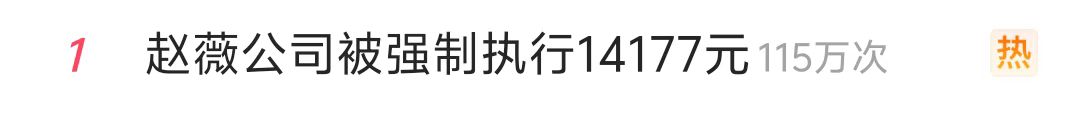 熱搜第一！趙薇公司被強制執(zhí)行14177元  第2張