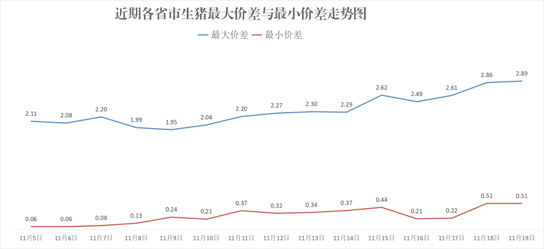 每日豬訊11.19  第8張